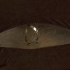 SUNDIAL 2008